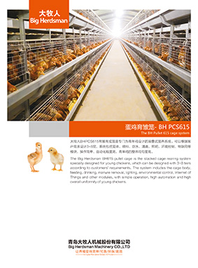the bh pullet 615 cage system